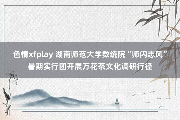 色情xfplay 湖南师范大学数统院“师闪志风”暑期实行团开展万花茶文化调研行径