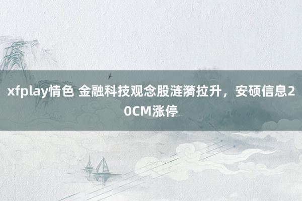 xfplay情色 金融科技观念股涟漪拉升，安硕信息20CM涨停