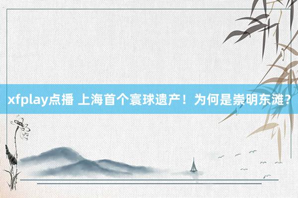 xfplay点播 上海首个寰球遗产！为何是崇明东滩？