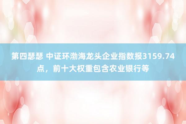 第四瑟瑟 中证环渤海龙头企业指数报3159.74点，前十大权重包含农业银行等