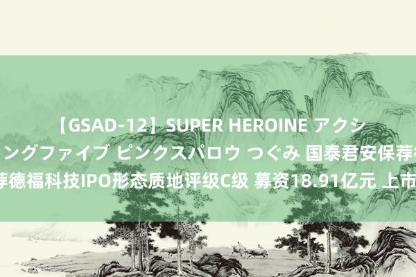 【GSAD-12】SUPER HEROINE アクションウォーズ 超翼戦隊ウィングファイブ ピンクスパロウ つぐみ 国泰君安保荐德福科技IPO形态质地评级C级 募资18.91亿元 上市首年扣非净利大降好像