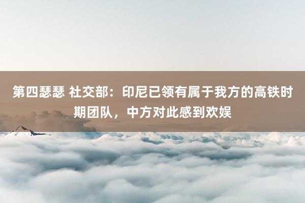 第四瑟瑟 社交部：印尼已领有属于我方的高铁时期团队，中方对此感到欢娱