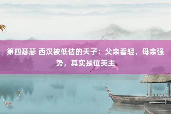 第四瑟瑟 西汉被低估的天子：父亲看轻，母亲强势，其实是位英主