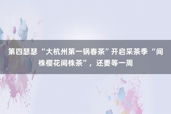 第四瑟瑟 “大杭州第一锅春茶”开启采茶季 “间株樱花间株茶”，还要等一周