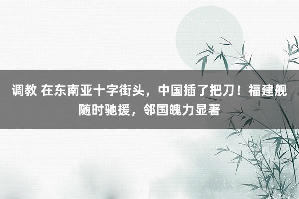 调教 在东南亚十字街头，中国插了把刀！福建舰随时驰援，邻国魄力显著