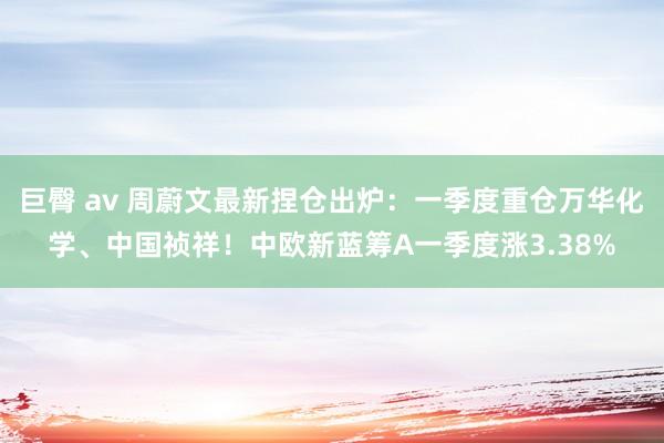 巨臀 av 周蔚文最新捏仓出炉：一季度重仓万华化学、中国祯祥！中欧新蓝筹A一季度涨3.38%