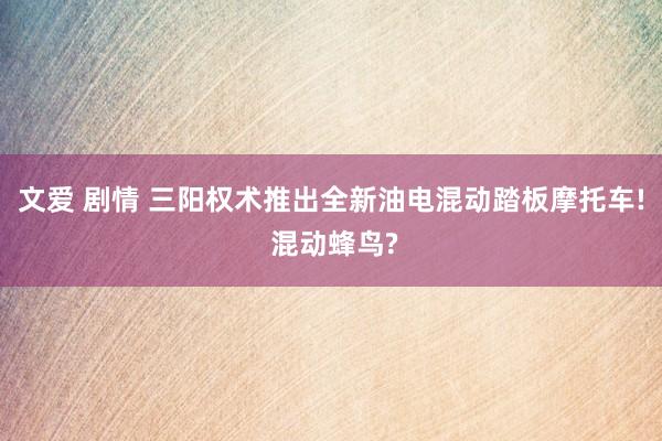 文爱 剧情 三阳权术推出全新油电混动踏板摩托车! 混动蜂鸟?