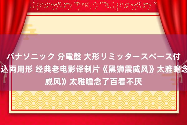 パナソニック 分電盤 大形リミッタースペース付 露出・半埋込両用形 经典老电影译制片《黑狮震威风》太雅瞻念了百看不厌